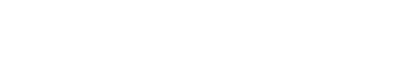 Lingo